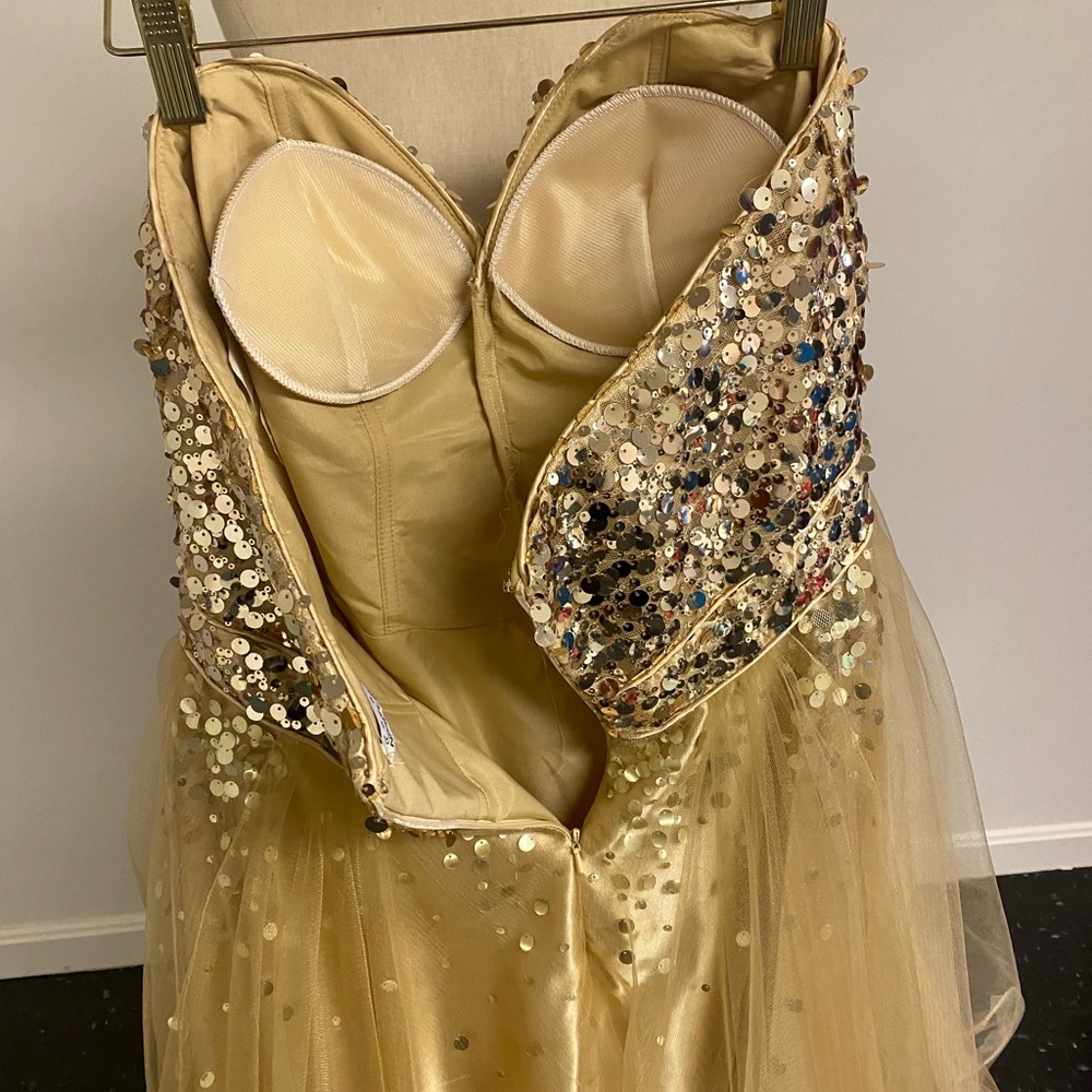 Prom/Formal Dress - Picture 3 of 4